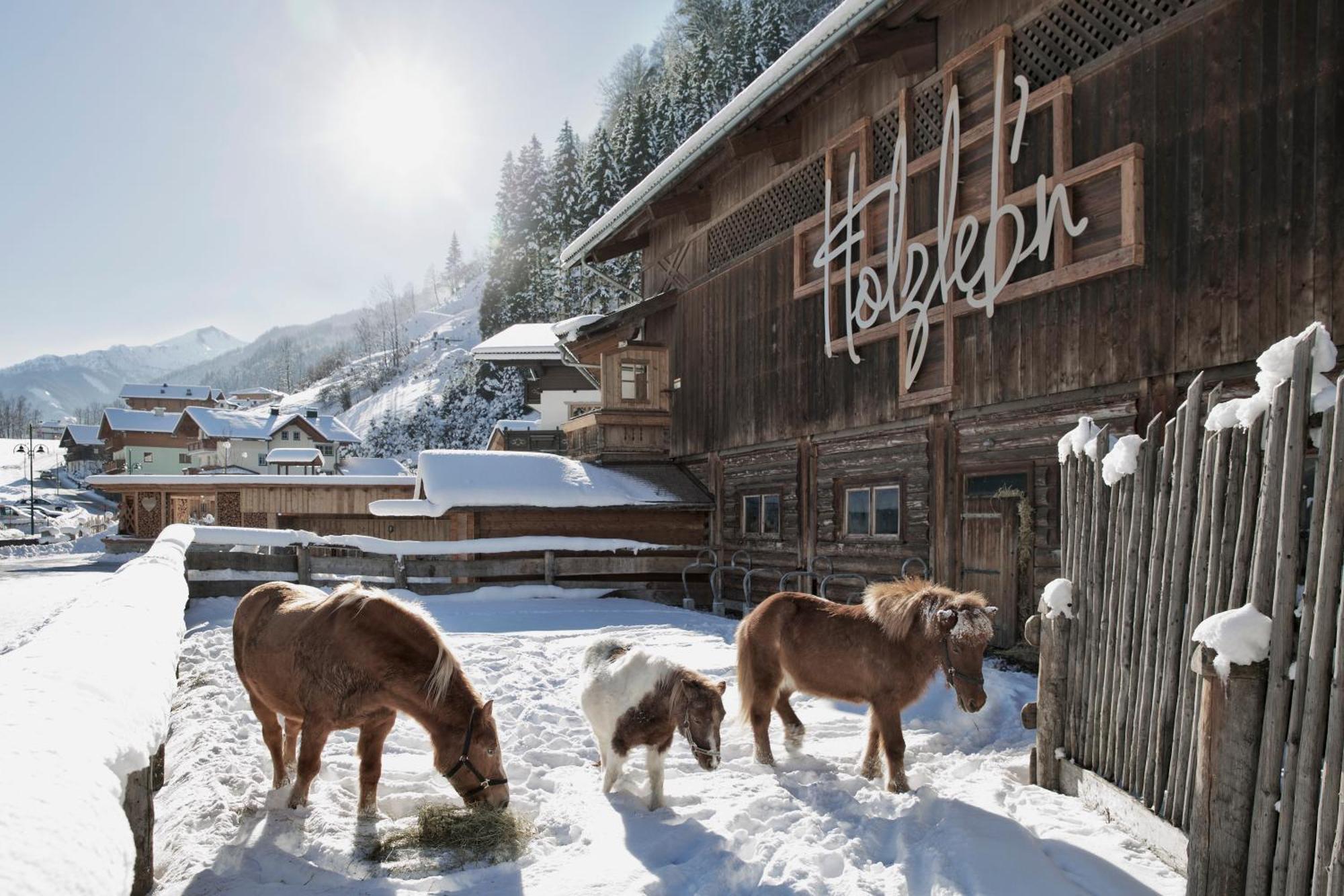 Feriendorf Holzlebn Гроссарль Экстерьер фото